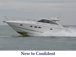 by David, Jay Jay New to Confident button